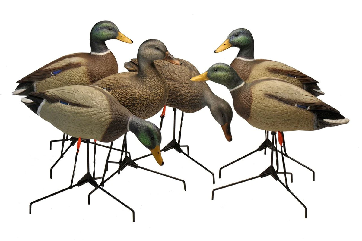 Bigfoot™ Motion Field Mallards 12 Pk. + 12slot decoy bag BigFoot Decoys