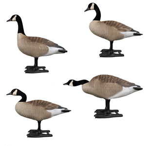 B2™ Canada Variety Decoys 12 Pk. + Performance Blind Bag