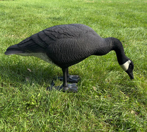 Bigfoot™ USA Original Feeder Black & White Decoys 4 Pk.