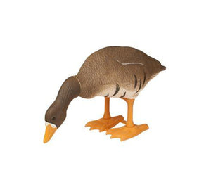 Bigfoot™ 1-Piece Whitefront Specklebelly Decoys Variety 6 Pk.
