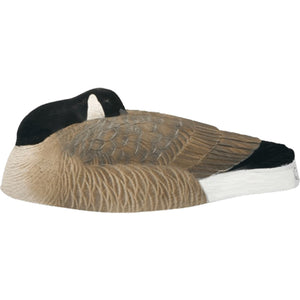 B2™ Canada Sleeper Shell Decoys 12 Pk. + Field Ammo Bag