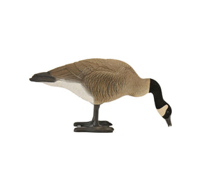 Bigfoot™ Canada Feeder Decoys 4 Pk.