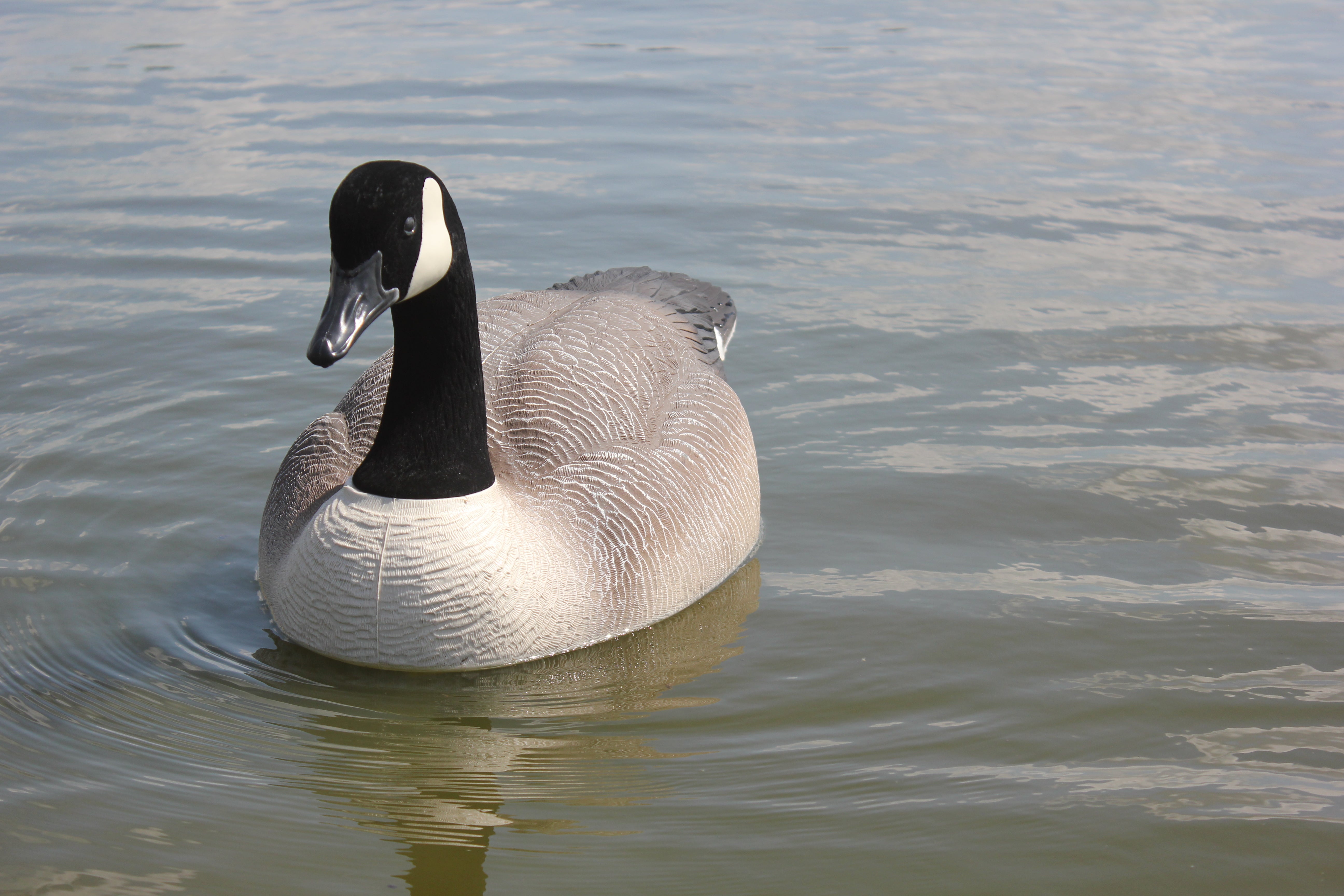 Bigfoot™ Canada Floater Decoys