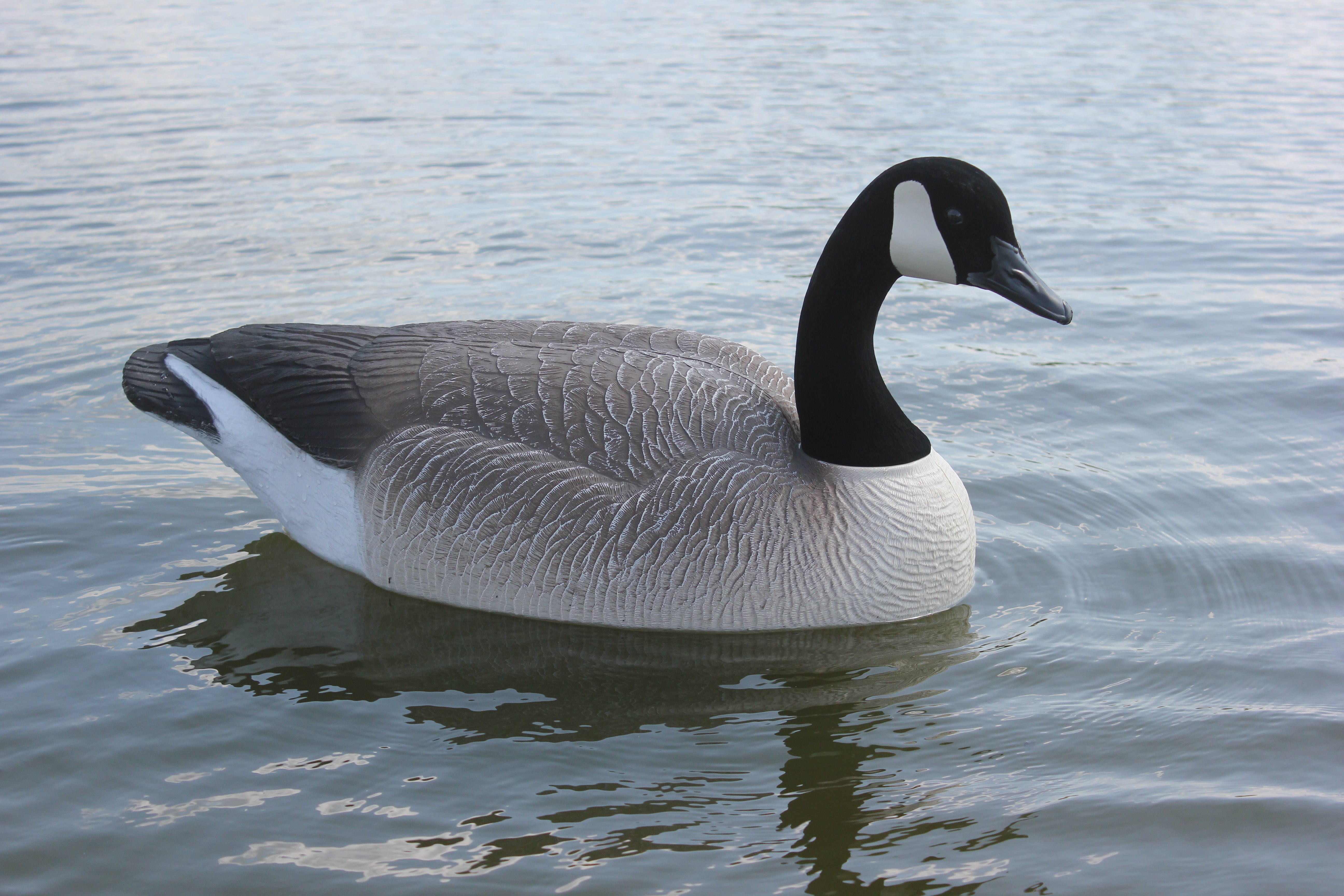 Used bigfoot canada clearance goose decoys for sale