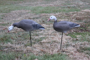 Bigfoot 1-Piece Blue Goose Decoys on Motion Stakes