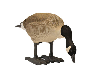 B2™ Canada Feeder Decoys 12 Pk. + FREE Performance Blind Bag
