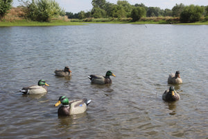 Bigfoot™ Floating Lifesize Mallards 12 Pk. 8 Drakes, 4 Hens.