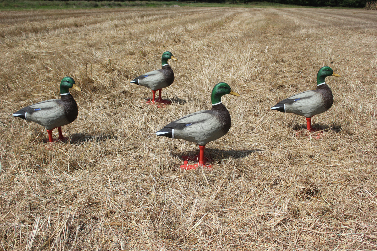 Bigfoot™ Field Oversized Mallard on Feet 4 Pk. BigFoot Decoys