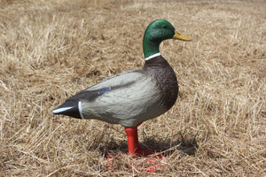 Bigfoot™ Field Oversized Mallard on Feet 4 Pk.