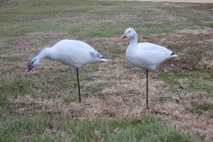 Bigfoot Snow Goose Decoys on Motion Stake