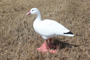 Bigfoot 1-Piece Snow Goose Decoys on Feet & Legs 6 PK